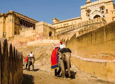 Jaipur City Tour with Tiger 04N / 05D